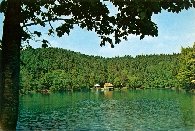 1024 - Anina. Lacul Buhui